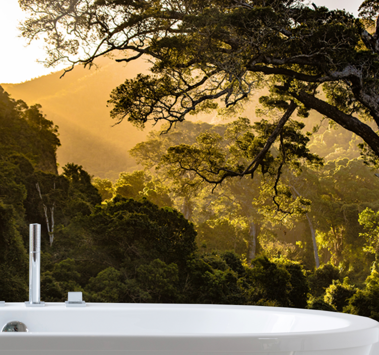 Fotobehang natuur weelderige boslandschappen - TenStickers