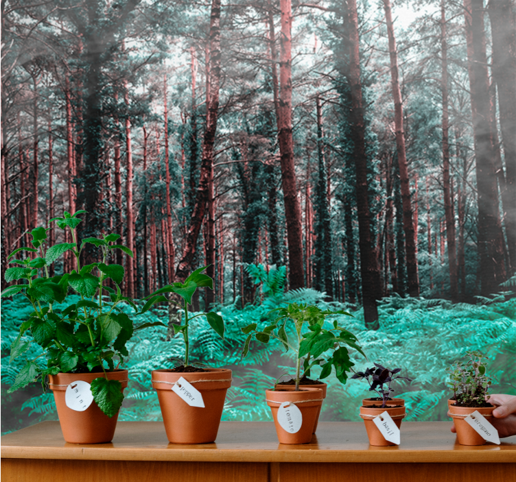 Fotobehang natuur weelderige groene wildernis - TenStickers