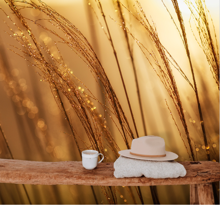 Fotobehang natuur zacht gouden gras - TenStickers