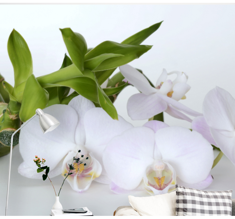 Fotobehang orchideeën elegante orchideeën arrangering - TenStickers