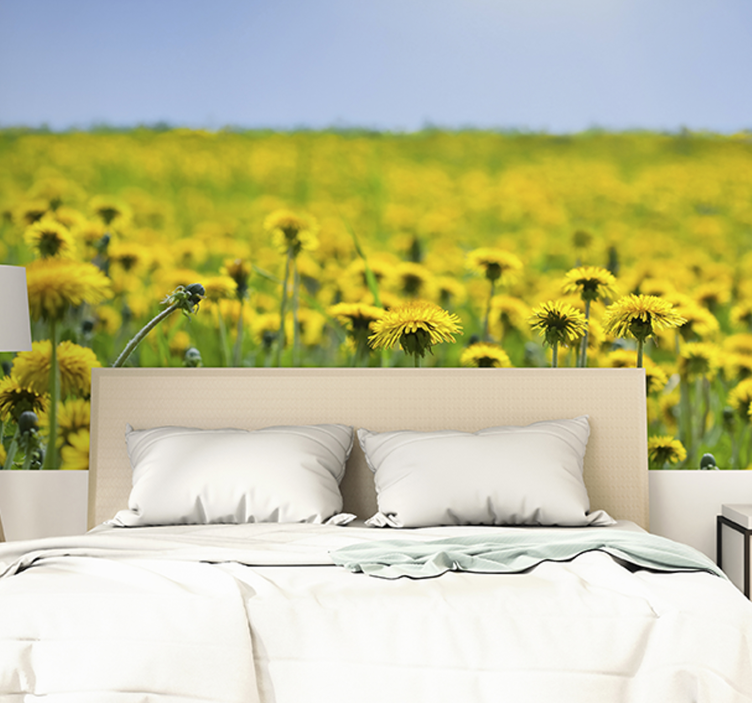 Fotobehang paardenbloem dandelion field - TenStickers