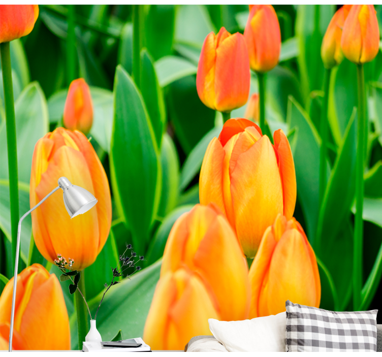 Fotobehang tulpen tulpenbloesem overvloed - TenStickers