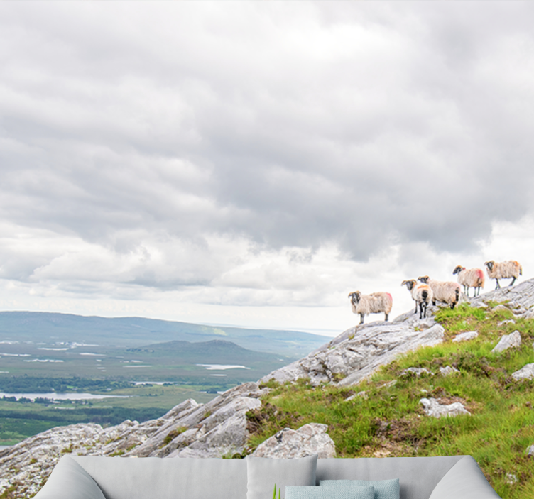 Fotobehang verschillende dieren lammetjes op hellingen - TenStickers