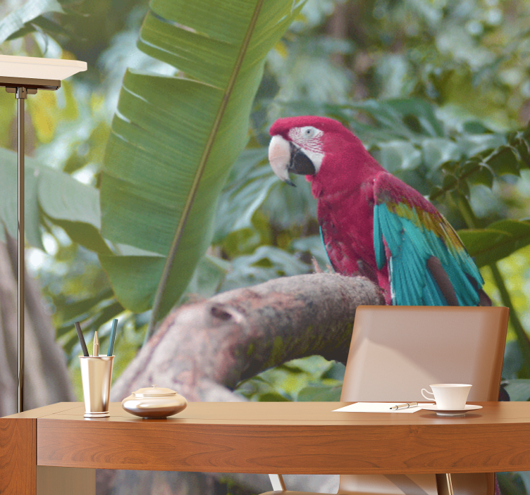 Fotobehang verschillende dieren papegaai in kleur - TenStickers