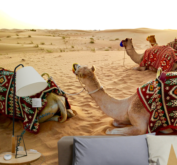 Fotobehang woestijn met kamelen in de woestijn - TenStickers