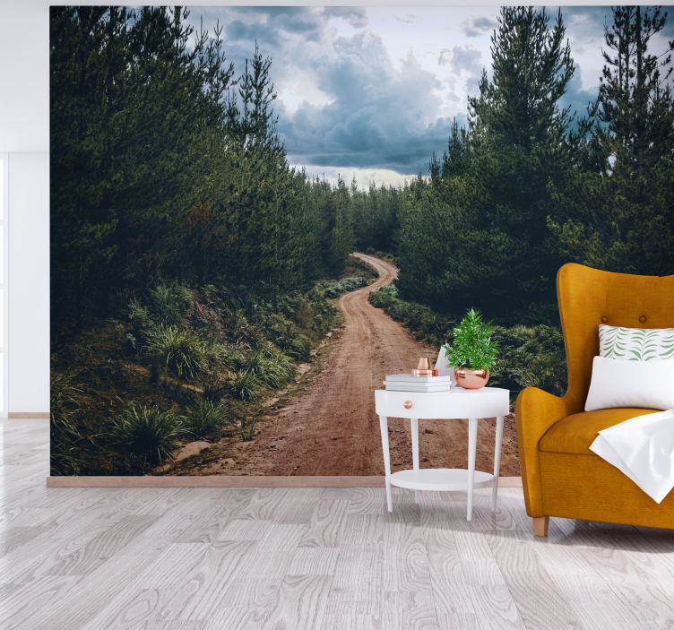 Fototapet landschap winding nature path - TenStickers