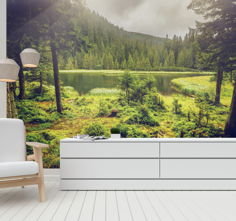 Groene bomen bos fotobehang - TenStickers