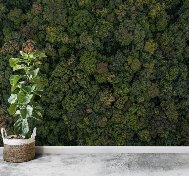 Luchtfoto van het bos foto behang jungle - TenStickers