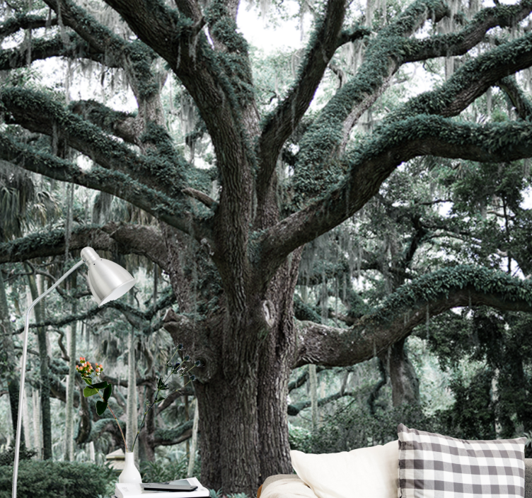 Majestueuze eiken takken foto behang bomen - TenStickers