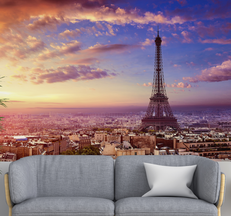 Paris view by air fotobehang - TenStickers