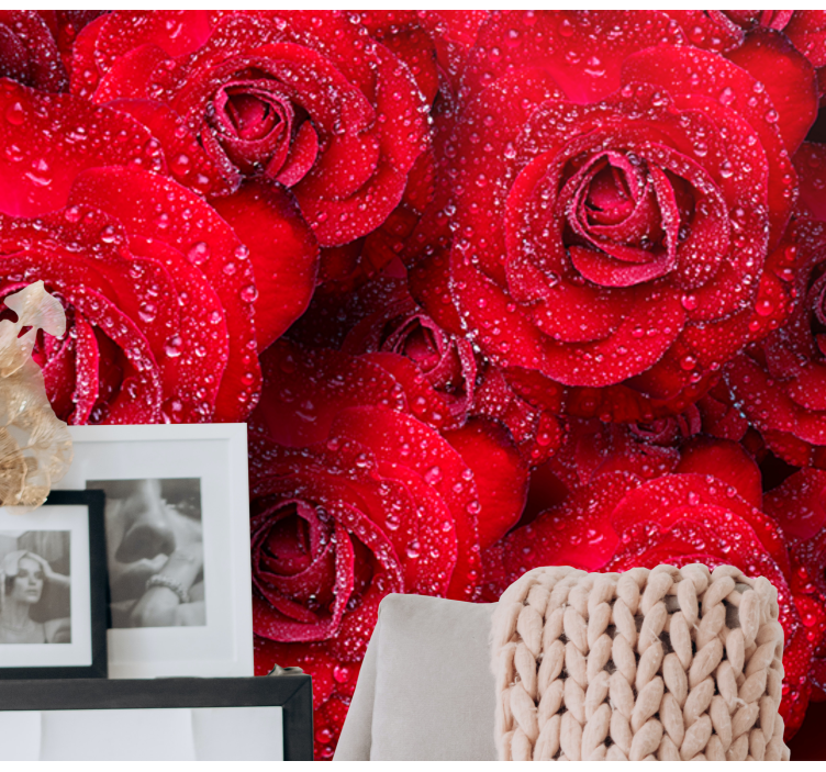 Rode bloeiende rozenbloeiers foto behang rozen - TenStickers