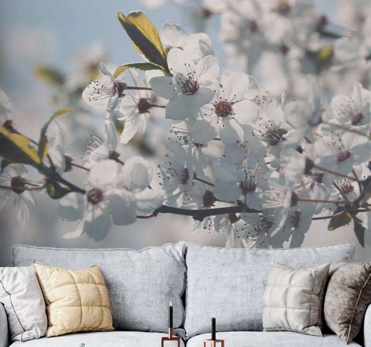 Sakura bloesemstengel bloemen foto behang - TenStickers