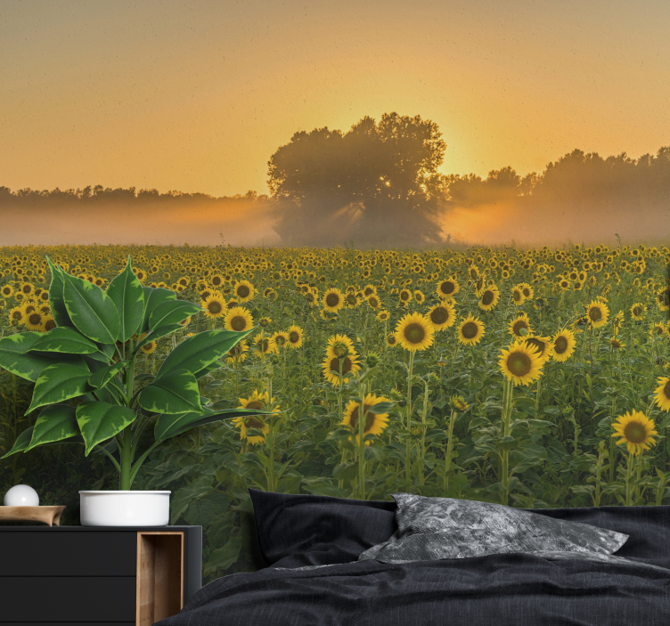 Zonnebloemveld zonsondergang bloemen foto behang - TenStickers
