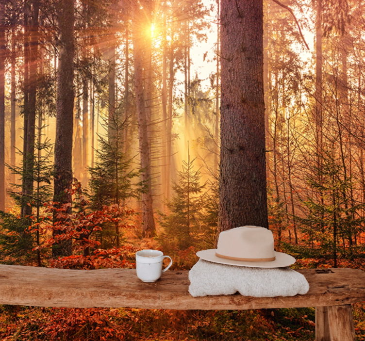 Zonnig bos gloed foto behang bos - TenStickers