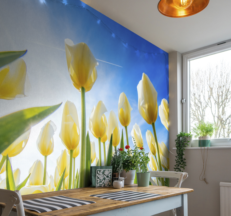Zonovergoten veld fotobehang tulpen - TenStickers
