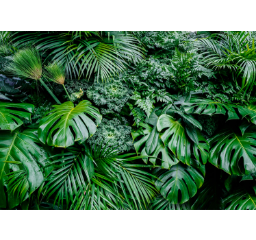Fotobehang bos jungle - TenStickers