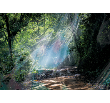 Fotobehang natuur 3d diepte effect bos - TenStickers