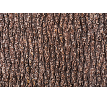 Foto behang stenen met gestructureerd schorsoppervlak - TenStickers
