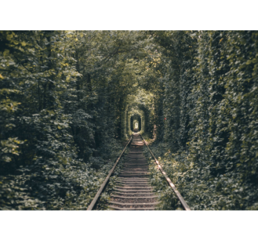 Bos tunnelpad fototapet landschap - TenStickers