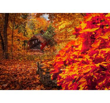 Fototapet landschap herfst cottage landschap - TenStickers