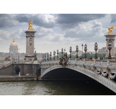 Uitzicht op pont alexandre iii fotobehang stad - TenStickers