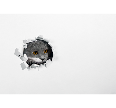 Nieuwsgierige kat die gluurt foto behang dieren - TenStickers