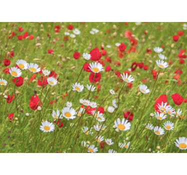 Bloemen foto behang levendig bloemenveld - TenStickers