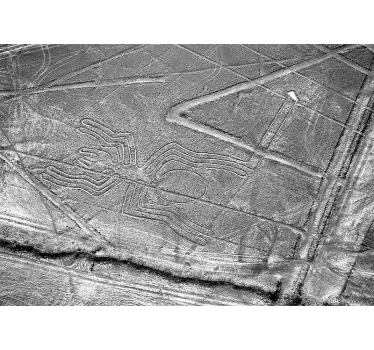 Foto behang dieren nazca spinnengeoglyph - TenStickers