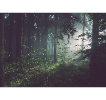 Fotobehang natuur groene boslandschap - TenStickers