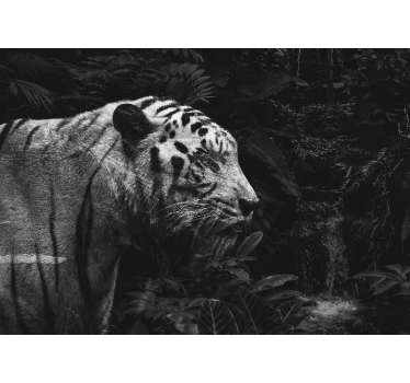 Majestueuze witte tijger foto behang dieren - TenStickers