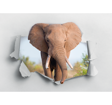 Foto behang dieren majestueus olifantenportret - TenStickers
