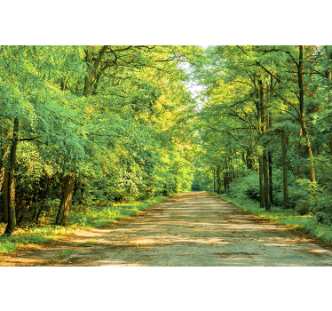 Fotobehang natuur Groen bos op een zonnige dag - TenStickers