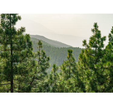 Fotobehang natuur weelderig groen landschap - TenStickers