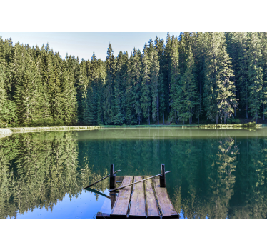 Fotobehang natuur rustige bosreflectie - TenStickers