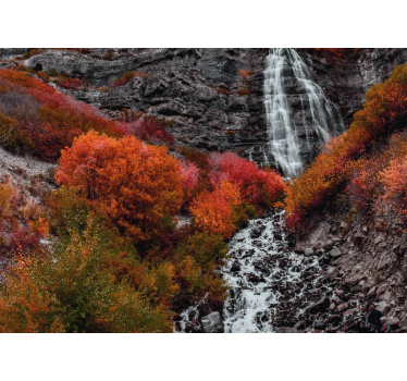 Foto behang waterval herfstlandschap - TenStickers