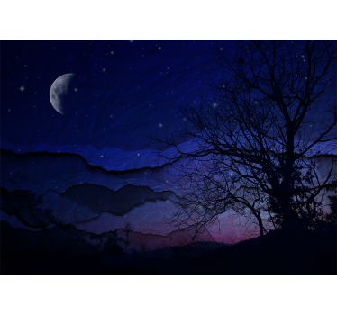 Fotobehang lucht maanverlichte nachthemel - TenStickers