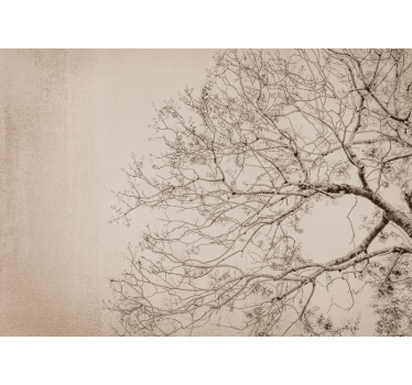 Foto behang bomen mooie takken silhouet - TenStickers