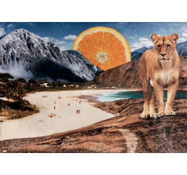 Foto behang dieren leeuw strandscene - TenStickers