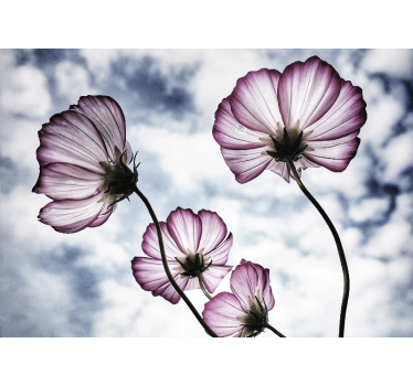 Bloemen foto behang delicate bloemrijke schoonheid - TenStickers
