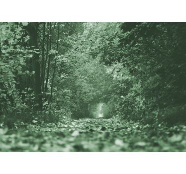 Foto behang bos weelderig bospad - TenStickers