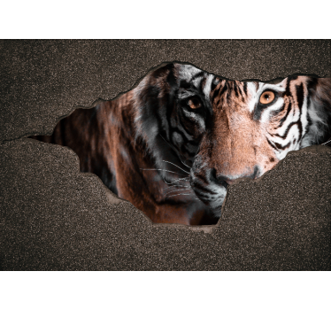 Fotobehang verschillende dieren tijger close-up - TenStickers
