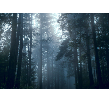 Behang bos mistige groene bossen - TenStickers