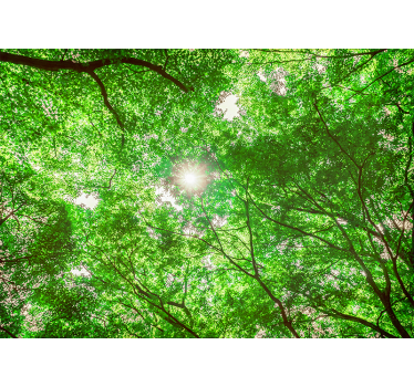 Fotobehang natuur canopy boomtoppen uitzicht - TenStickers