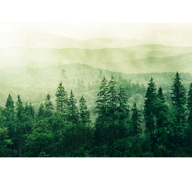 Fotobehang natuur mistig groen landschap - TenStickers