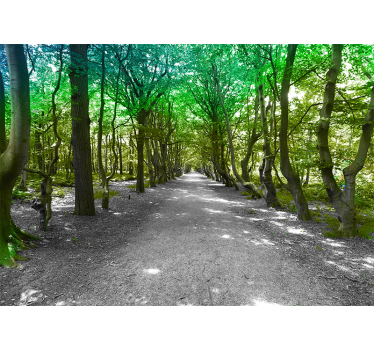 Fotobehang natuur weelderig bomenpad - TenStickers
