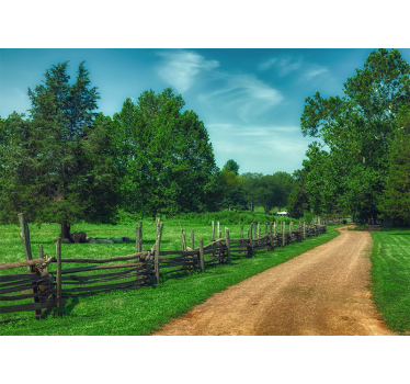 Fototapet landschap levendige groene wandelweg - TenStickers