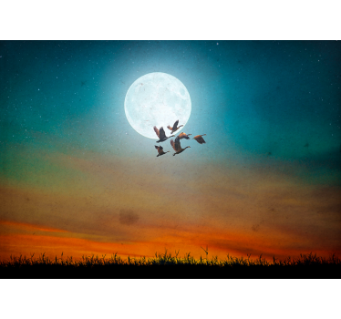 Fotobehang natuur maanverlichte lucht - TenStickers