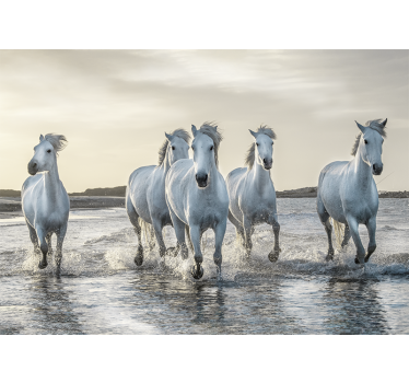 Rennende witte paarden over strand fotobehang - TenStickers