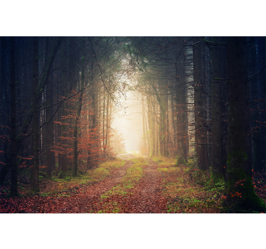 Herfst weg Fotobehang bos - TenStickers