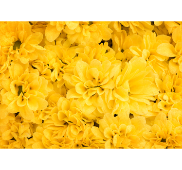 Bloemenblaadjes Foto behang geel - TenStickers
